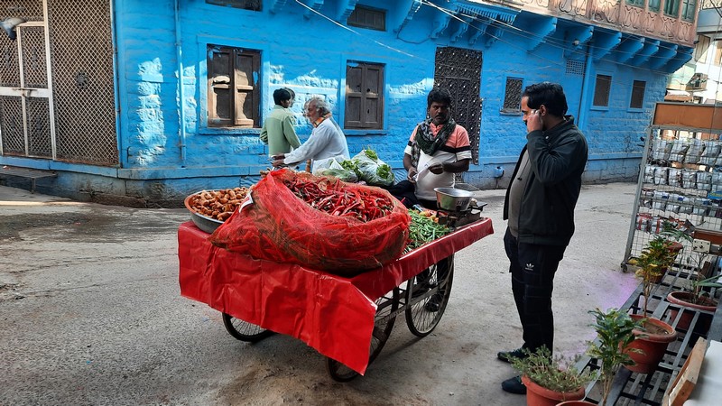 Jodhpur (12)