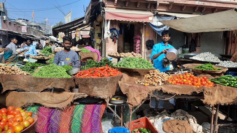 Jodhpur (75)