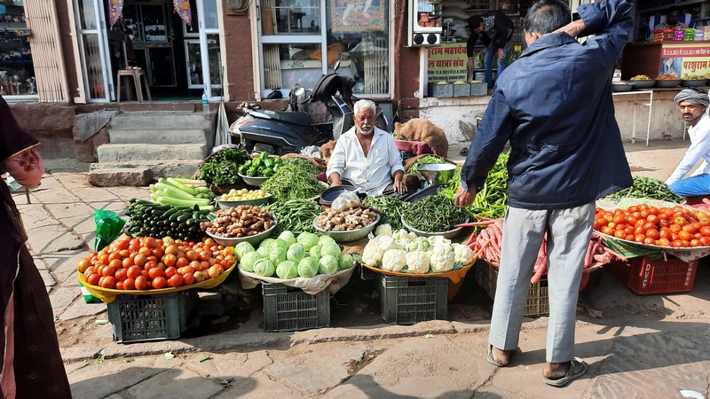 Jodhpur (76)