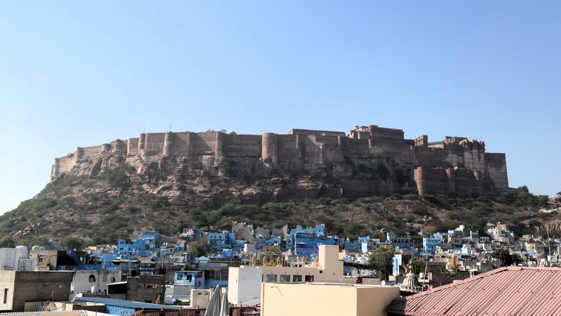 Jodhpur (115)