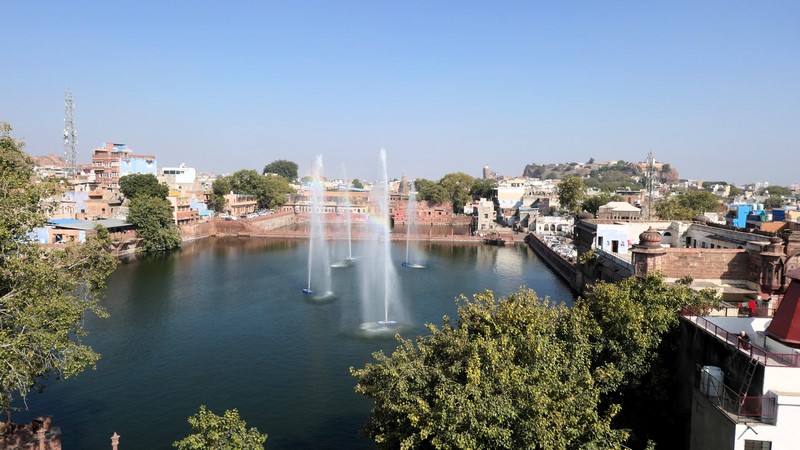 Jodhpur (117)