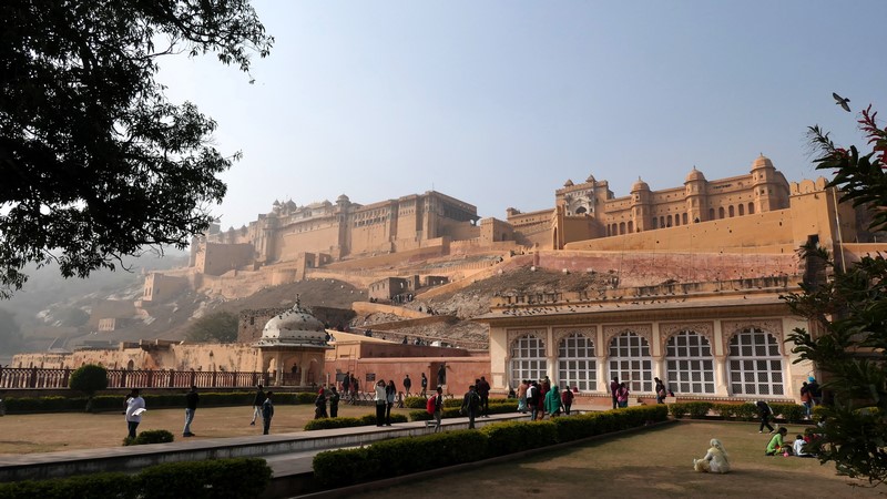 Jaipur (168)