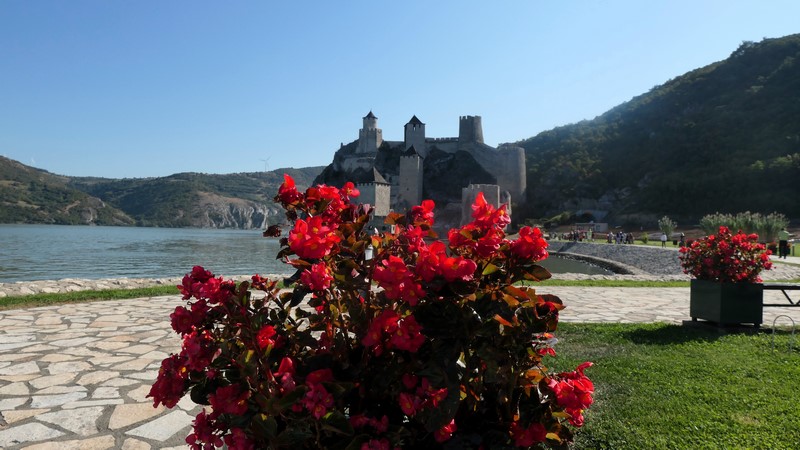 Golubac (6)