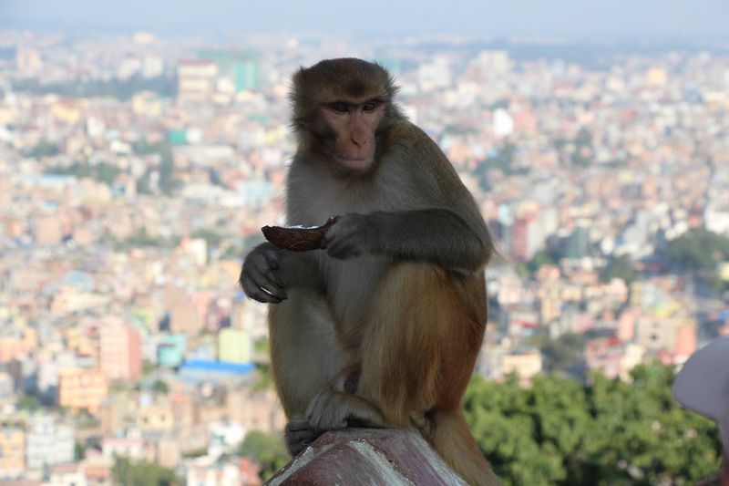 KATHMANDU (11)